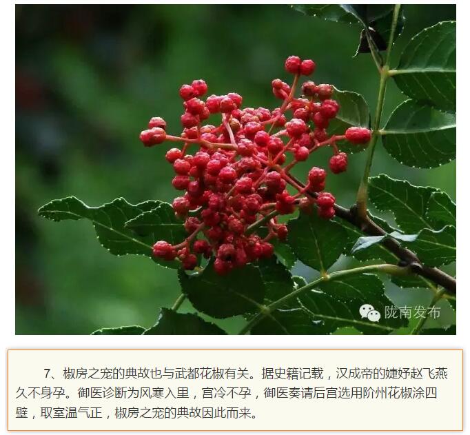 蘭渝鐵路最早由孫中山先生提出？在隴南，你不知道的事兒還有……