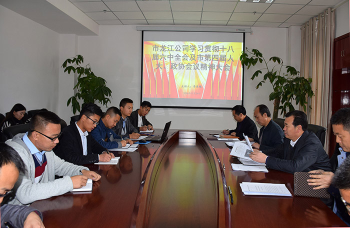 市龍江公司召開全體員工大會(huì)，專題傳達(dá)學(xué)習(xí)上級會(huì)議精神