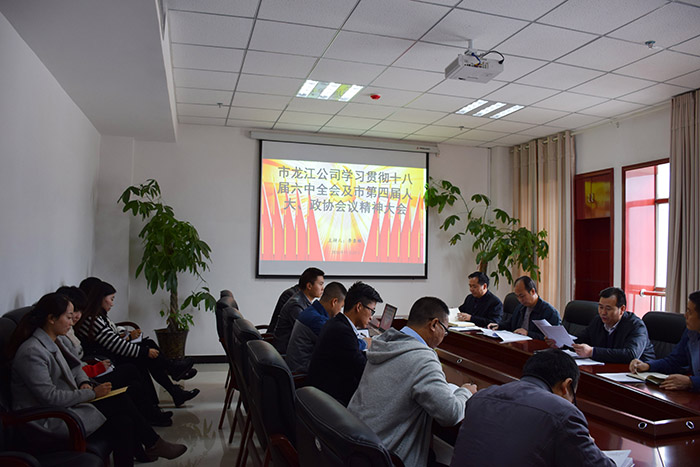市龍江公司召開全體員工大會(huì)，專題傳達(dá)學(xué)習(xí)上級會(huì)議精神